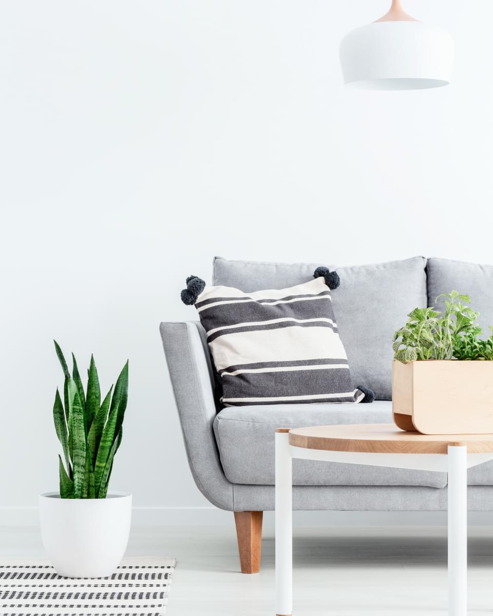 interior decorator in dwarka